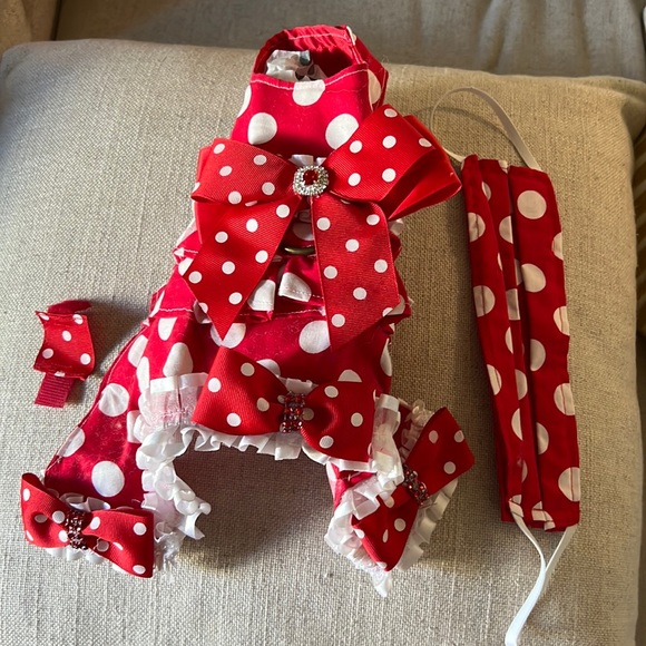 Polka Dot Designer Dog Outfit & a Mask for You